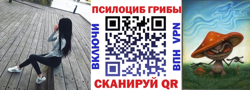 где продают наркотики Иланский Псилоцибиновые грибы Psilocybine cubensis